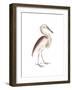 Marone Backed Heron-Maria Mendez-Framed Art Print