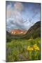 Maroon Bells reflect into calm Maroon Lake near Aspen, Colorado, USA-Chuck Haney-Mounted Photographic Print