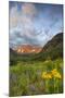 Maroon Bells reflect into calm Maroon Lake near Aspen, Colorado, USA-Chuck Haney-Mounted Photographic Print