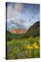 Maroon Bells reflect into calm Maroon Lake near Aspen, Colorado, USA-Chuck Haney-Stretched Canvas