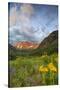 Maroon Bells reflect into calm Maroon Lake near Aspen, Colorado, USA-Chuck Haney-Stretched Canvas