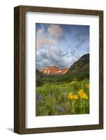 Maroon Bells reflect into calm Maroon Lake near Aspen, Colorado, USA-Chuck Haney-Framed Photographic Print