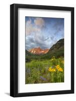 Maroon Bells reflect into calm Maroon Lake near Aspen, Colorado, USA-Chuck Haney-Framed Photographic Print