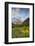 Maroon Bells reflect into calm Maroon Lake near Aspen, Colorado, USA-Chuck Haney-Framed Photographic Print