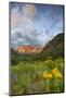Maroon Bells reflect into calm Maroon Lake near Aspen, Colorado, USA-Chuck Haney-Mounted Photographic Print