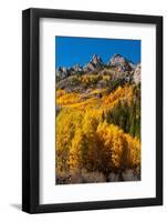 Maroon Bells-Snowmass Wilderness in autumn-Mallorie Ostrowitz-Framed Photographic Print