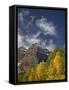 Maroon Bells with Fall Color, White River National Forest, Colorado-James Hager-Framed Stretched Canvas