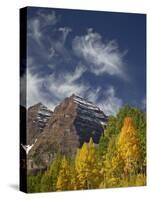 Maroon Bells with Fall Color, White River National Forest, Colorado-James Hager-Stretched Canvas