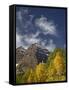 Maroon Bells with Fall Color, White River National Forest, Colorado-James Hager-Framed Stretched Canvas