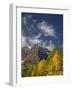 Maroon Bells with Fall Color, White River National Forest, Colorado-James Hager-Framed Photographic Print