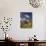 Maroon Bells with Fall Color, White River National Forest, Colorado-James Hager-Photographic Print displayed on a wall