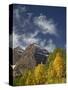 Maroon Bells with Fall Color, White River National Forest, Colorado-James Hager-Stretched Canvas