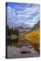 Maroon Lake in the White River National Forest Near Aspen, Colorado, Usa-Chuck Haney-Stretched Canvas