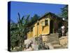 Maroon Town, Jamaica, West Indies, Central America-Sergio Pitamitz-Stretched Canvas