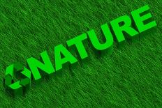 Eco Word over Green Grass-marphotography-Art Print