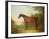 'Marquis', a Bay Hunter in a Landscape, 1811-John Boultbee-Framed Giclee Print