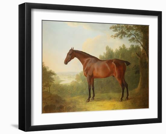 'Marquis', a Bay Hunter in a Landscape, 1811-John Boultbee-Framed Giclee Print