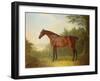 'Marquis', a Bay Hunter in a Landscape, 1811-John Boultbee-Framed Giclee Print