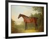 'Marquis', a Bay Hunter in a Landscape, 1811-John Boultbee-Framed Giclee Print