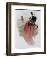 Marquis de Raggi's Bird of Paradise-John Gould-Framed Giclee Print