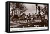 Marrakech - Caravan in the Palm Grove-null-Framed Stretched Canvas