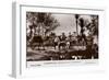 Marrakech - Caravan in the Palm Grove-null-Framed Photographic Print