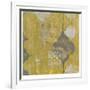 Marrakesh II-Jennifer Goldberger-Framed Premium Giclee Print