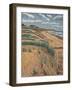 Marram Grass, 1988 (Oil on Linen)-Anthony Amies-Framed Giclee Print