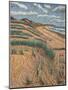 Marram Grass, 1988 (Oil on Linen)-Anthony Amies-Mounted Giclee Print