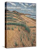 Marram Grass, 1988 (Oil on Linen)-Anthony Amies-Stretched Canvas