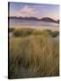 Marram Grass and Beach Near Luskentyre, Towards North Harris Forest Hills, South Harris, Scotland-Patrick Dieudonne-Stretched Canvas