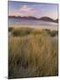 Marram Grass and Beach Near Luskentyre, Towards North Harris Forest Hills, South Harris, Scotland-Patrick Dieudonne-Mounted Photographic Print