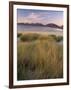 Marram Grass and Beach Near Luskentyre, Towards North Harris Forest Hills, South Harris, Scotland-Patrick Dieudonne-Framed Photographic Print