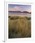 Marram Grass and Beach Near Luskentyre, Towards North Harris Forest Hills, South Harris, Scotland-Patrick Dieudonne-Framed Photographic Print