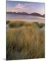 Marram Grass and Beach Near Luskentyre, Towards North Harris Forest Hills, South Harris, Scotland-Patrick Dieudonne-Mounted Photographic Print
