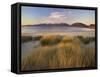 Marram Grass and Beach Near Luskentyre, Towards North Harris Forest Hills, South Harris, Scotland-Patrick Dieudonne-Framed Stretched Canvas