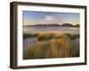 Marram Grass and Beach Near Luskentyre, Towards North Harris Forest Hills, South Harris, Scotland-Patrick Dieudonne-Framed Photographic Print