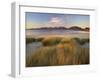 Marram Grass and Beach Near Luskentyre, Towards North Harris Forest Hills, South Harris, Scotland-Patrick Dieudonne-Framed Photographic Print