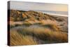 Marram Grass on the Sand Dunes of Braunton Burrows, Looking Towards Saunton Sands, Devon-Adam Burton-Stretched Canvas