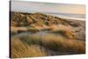 Marram Grass on the Sand Dunes of Braunton Burrows, Looking Towards Saunton Sands, Devon-Adam Burton-Stretched Canvas