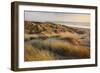 Marram Grass on the Sand Dunes of Braunton Burrows, Looking Towards Saunton Sands, Devon-Adam Burton-Framed Photographic Print