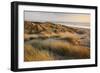 Marram Grass on the Sand Dunes of Braunton Burrows, Looking Towards Saunton Sands, Devon-Adam Burton-Framed Photographic Print