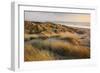 Marram Grass on the Sand Dunes of Braunton Burrows, Looking Towards Saunton Sands, Devon-Adam Burton-Framed Photographic Print