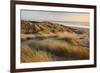 Marram Grass on the Sand Dunes of Braunton Burrows, Looking Towards Saunton Sands, Devon-Adam Burton-Framed Photographic Print