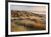 Marram Grass on the Sand Dunes of Braunton Burrows, Looking Towards Saunton Sands, Devon-Adam Burton-Framed Photographic Print