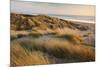 Marram Grass on the Sand Dunes of Braunton Burrows, Looking Towards Saunton Sands, Devon-Adam Burton-Mounted Photographic Print