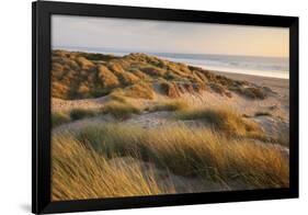 Marram Grass on the Sand Dunes of Braunton Burrows, Looking Towards Saunton Sands, Devon-Adam Burton-Framed Photographic Print