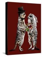 Married Meerkats on Red Oxide, 2020, (Pen and Ink)-Mike Davis-Stretched Canvas