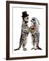 Married Meerkats on White, 2020, (Pen and Ink)-Mike Davis-Framed Giclee Print