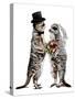 Married Meerkats on White, 2020, (Pen and Ink)-Mike Davis-Stretched Canvas